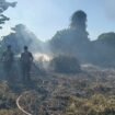 Damkar Provinsi Papua Tengah saat memadamkan lahan yang dilalap api. (Foto: Dok Damkar Papua Tengah)