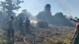 Damkar Provinsi Papua Tengah saat memadamkan lahan yang dilalap api. (Foto: Dok Damkar Papua Tengah)