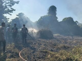 Damkar Provinsi Papua Tengah saat memadamkan lahan yang dilalap api. (Foto: Dok Damkar Papua Tengah)