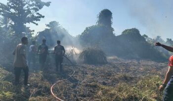 Damkar Provinsi Papua Tengah saat memadamkan lahan yang dilalap api. (Foto: Dok Damkar Papua Tengah)