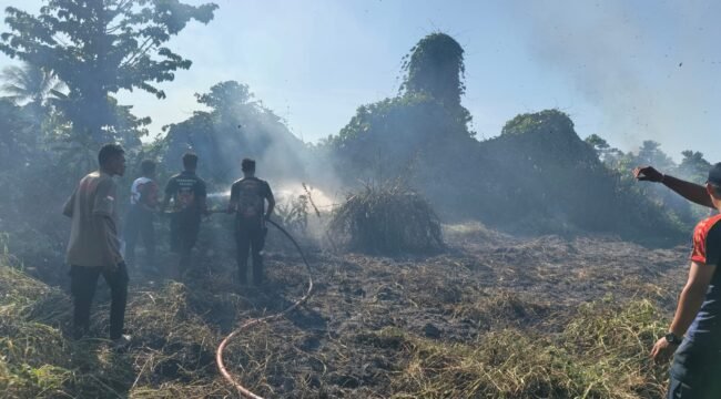 Damkar Provinsi Papua Tengah saat memadamkan lahan yang dilalap api. (Foto: Dok Damkar Papua Tengah)