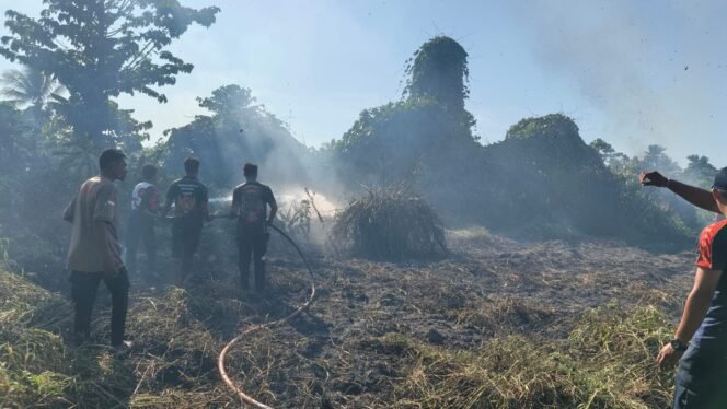 
Damkar Provinsi Papua Tengah saat memadamkan lahan yang dilalap api. (Foto: Dok Damkar Papua Tengah)