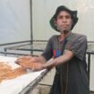 Berkat Murib, salah satu petani Kopi Robusta asal Puncak, (Foto: Edwin Rumanasen)