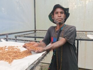 Berkat Murib, salah satu petani Kopi Robusta asal Puncak, (Foto: Edwin Rumanasen)
