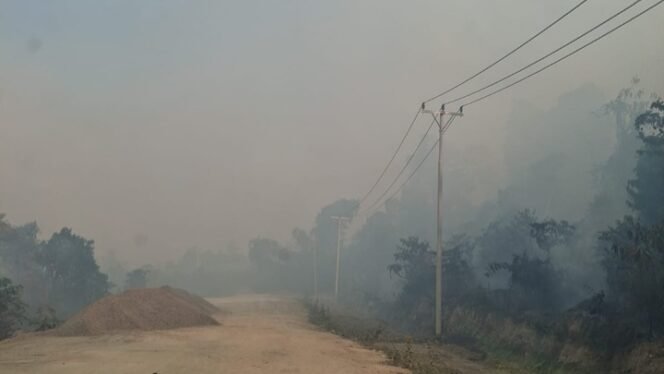 
Yulian Magai Warga Nabire Pakai Masker dan Minta Pemerintah Segera Tanggap Darurat Kebakaran Lahan