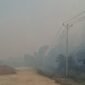 Kondisi kabut asap mengepul di Nabire. (Foto: Ist)