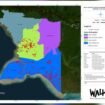 Peta hotspot api Provinsi Papua Selatan. (Sumber: Walhi Papua)