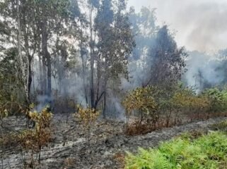Kebakaran Hutan di jalan poros Srer – Saifi, Teminabuan, Sorsel. (Foto:Ewil Woloin)