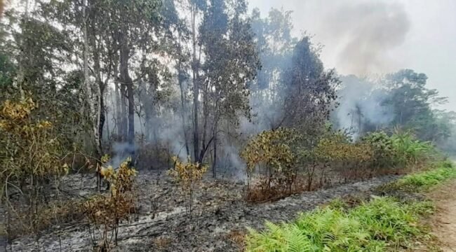 Kebakaran Hutan di jalan poros Srer – Saifi, Teminabuan, Sorsel. (Foto:Ewil Woloin)