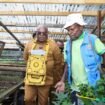 Gubernur Papua Tengah, Meki Nawipa saat berkunjung ke Deiyai. (Foto: Humas Pemprov Papua Tengah). 