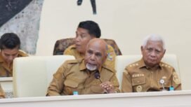 Wakil Gubernur Papua Tengah, Deinas Gele saat menghadiri Rapat Dengar Pendapat (RDP) bersama Komisi II DPR RI. (Foto: Humas Pemprov Papua Tengah)