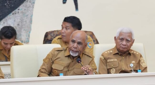Wakil Gubernur Papua Tengah, Deinas Gele saat menghadiri Rapat Dengar Pendapat (RDP) bersama Komisi II DPR RI. (Foto: Humas Pemprov Papua Tengah)