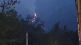 Kondisi kebakaran hutan di Tembagapura. (Foto: Dok Polsek Tembagapura)