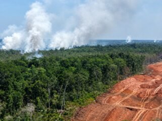 Foto: Dok WALHI