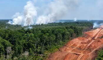 Foto: Dok WALHI