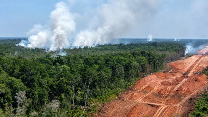 
Foto: Dok WALHI